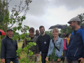 Výsadba lípy na francouzské agrolesnické farmě