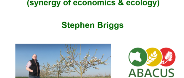 StephenBriggs